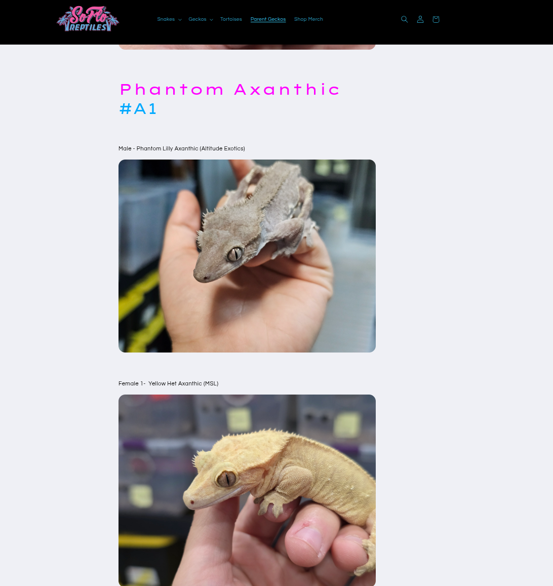 "Funky Monk" Axanthic Lilly White Pos Frappuccino