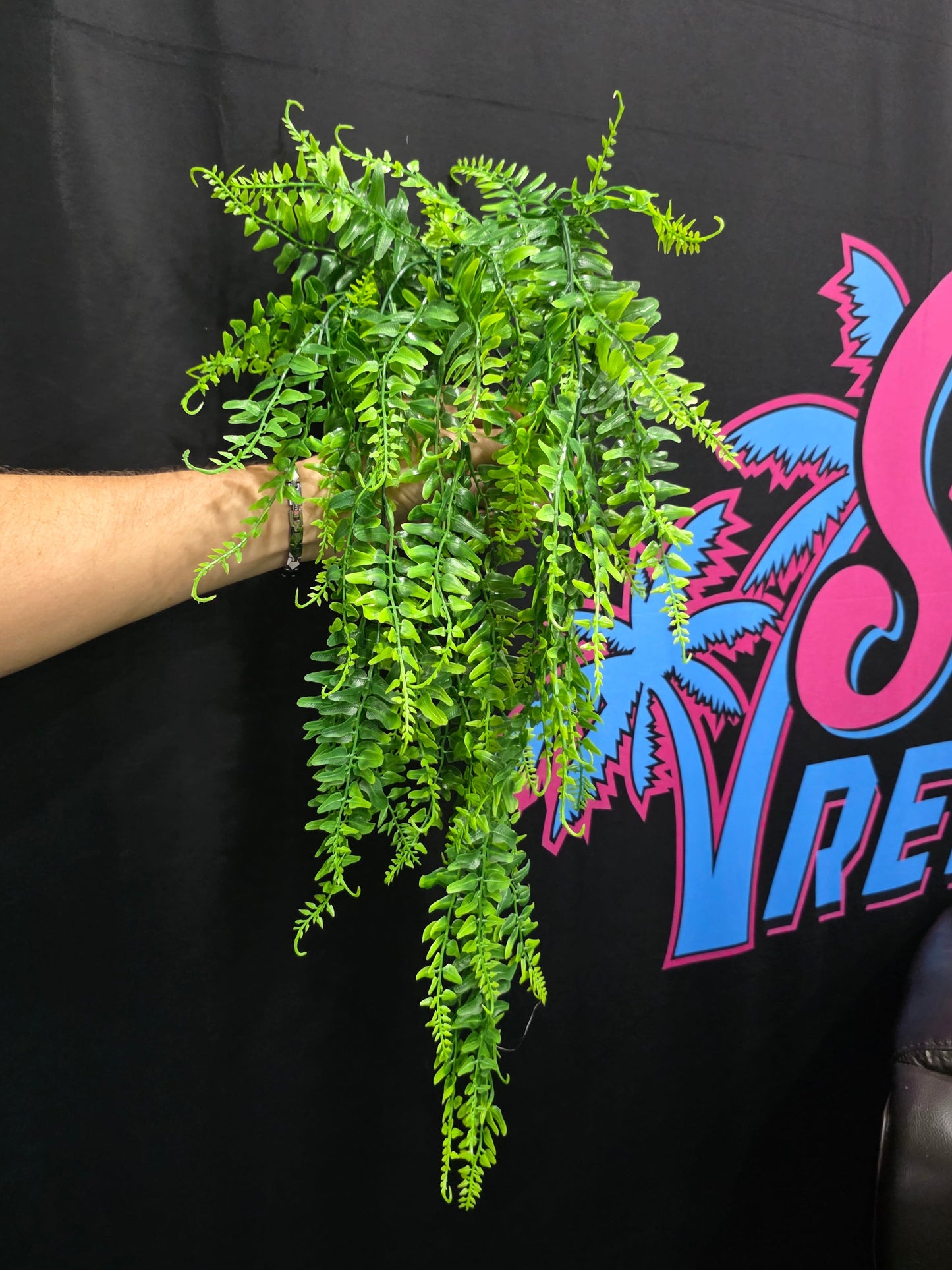 Fantasy Fern