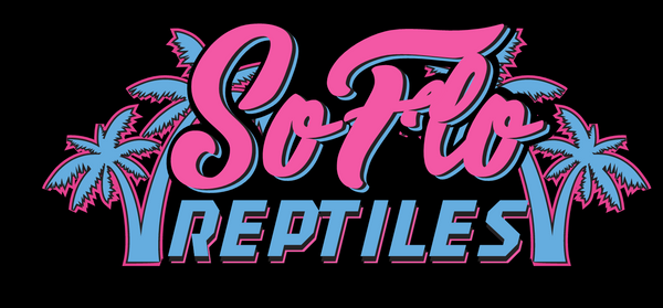 SoFloReptiles