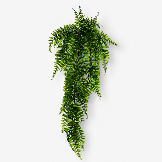 Fantasy Fern