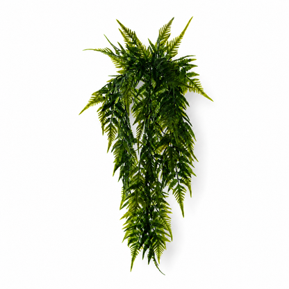 Ferny Fern