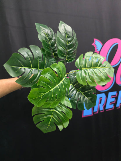 2-Pack Mr. Monstera