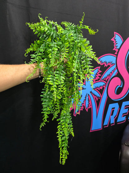 Fantasy Fern