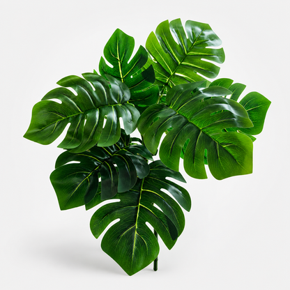 Mr. Monstera