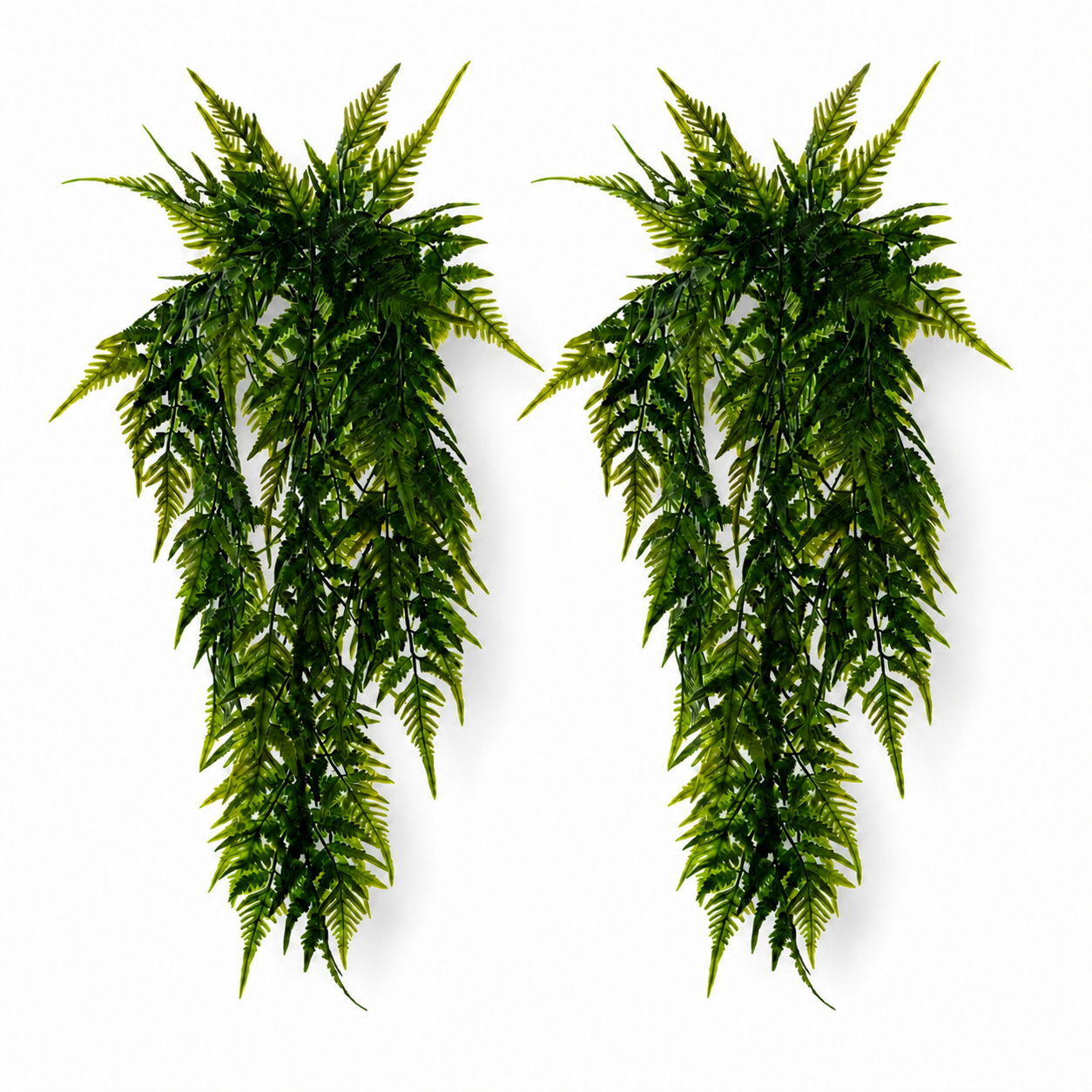 2-Pack Ferny Fern