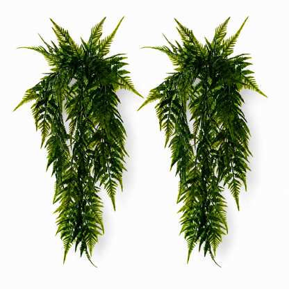 2-Pack Ferny Fern