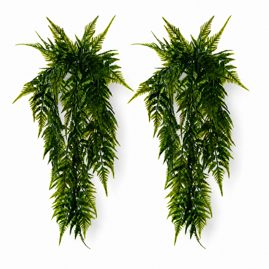 2-Pack Ferny Fern