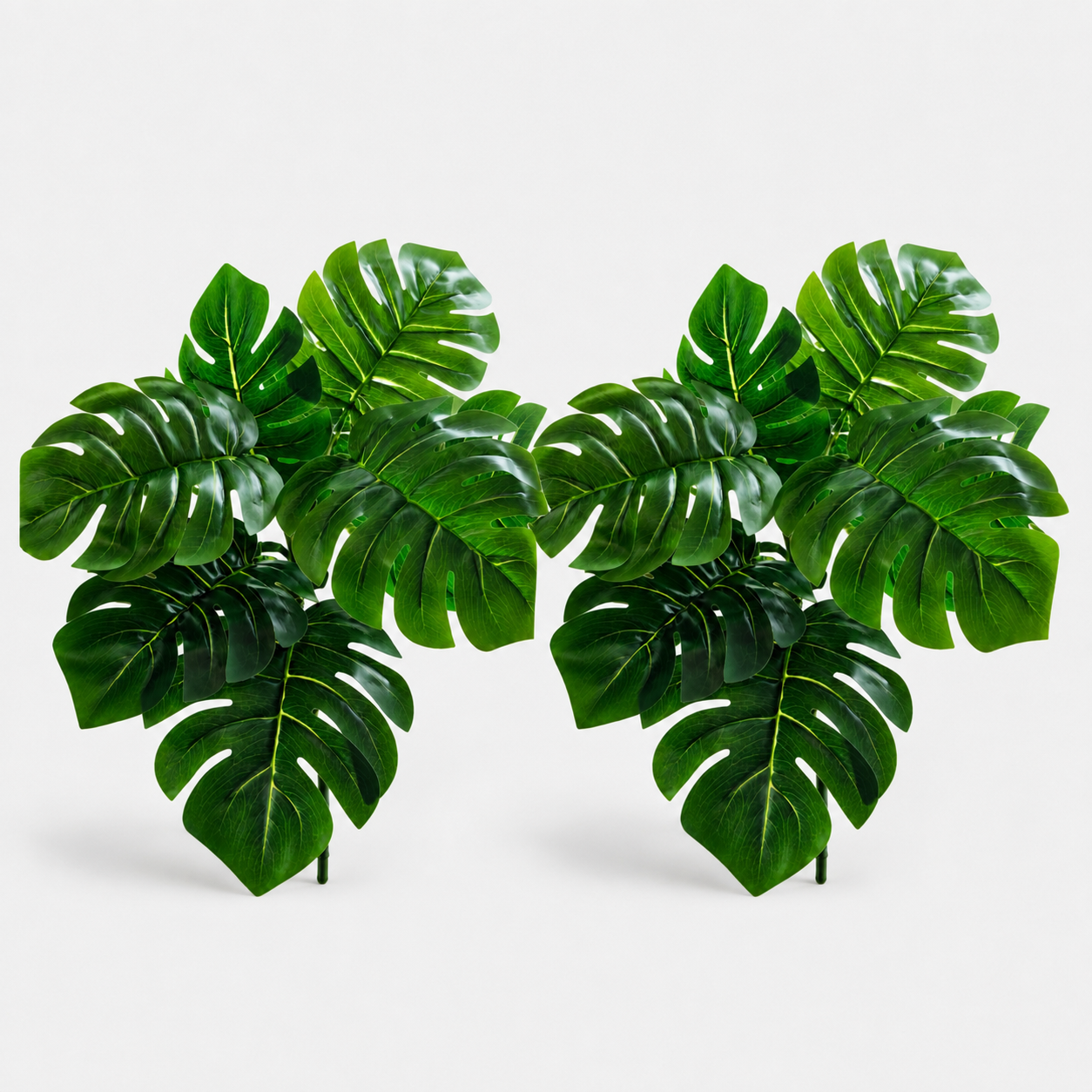 2-Pack Mr. Monstera
