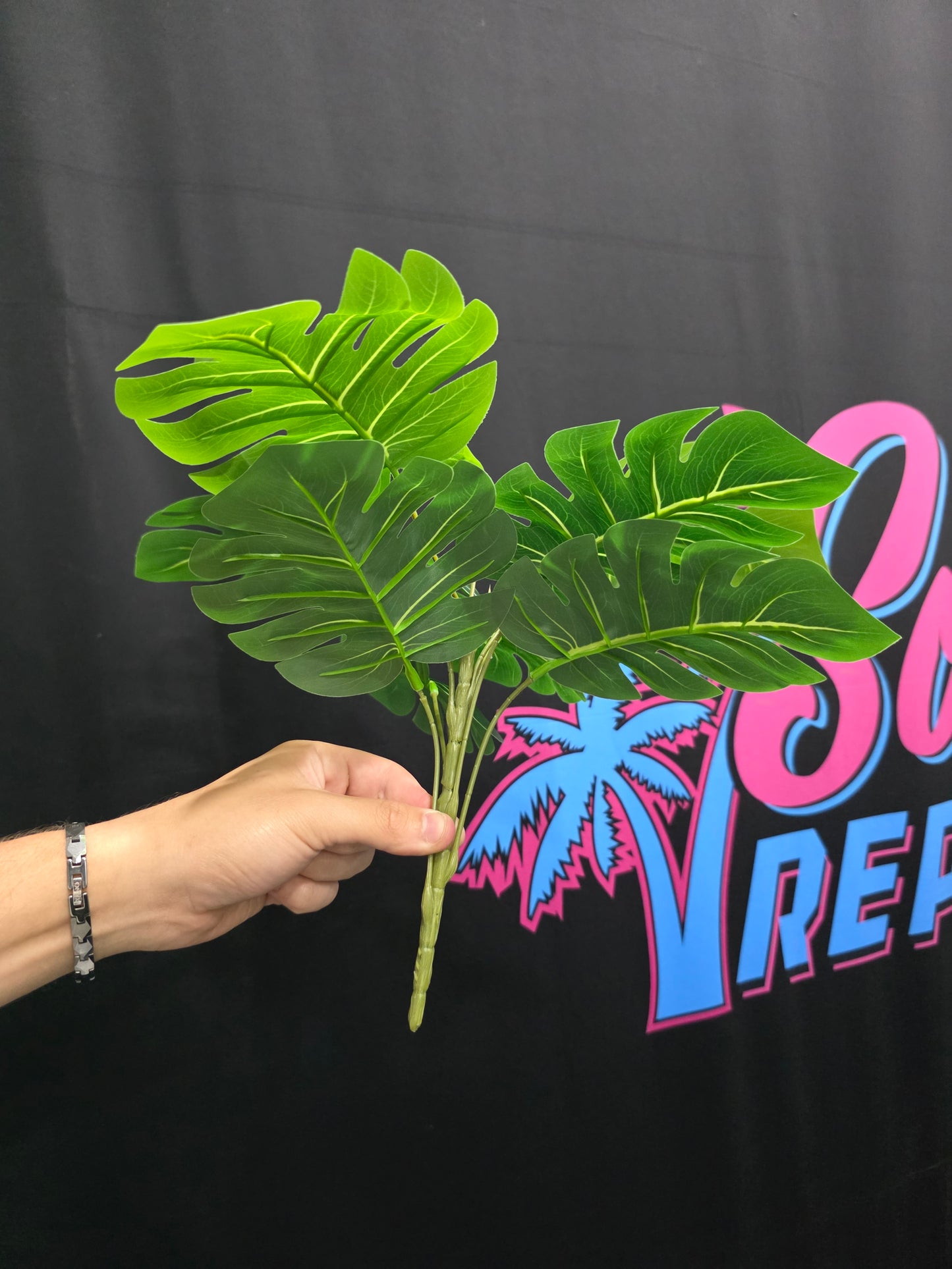 2-Pack Mr. Monstera