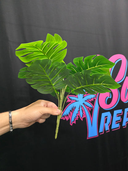 2-Pack Mr. Monstera